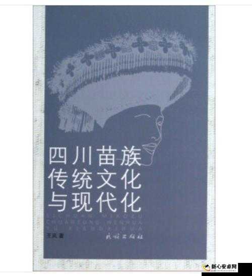 探索苗族 B 与其他苗族的独特之处：文化习俗差异及传承发展研究